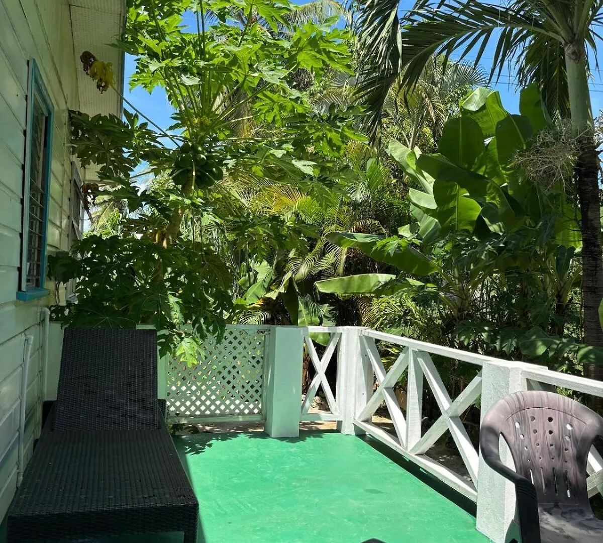 Aquarius Apartments - Pink Saint James Barbados